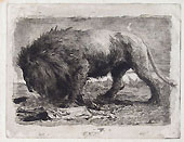 ELEUTERIO PAGLIANO, A Lion, etching